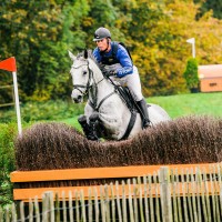 Kolmavõistlushobune Ally Nightingale