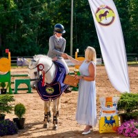 Dressage-showjumping pony