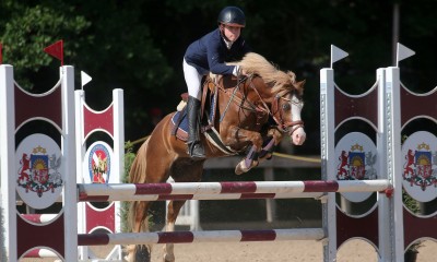 Welsh pony-chempion